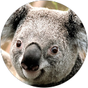 Marco Teunissen van Manen profielfoto